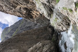 IMG_9685