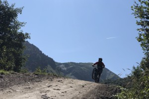 IMG_1374