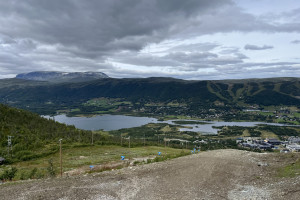 IMG_6524