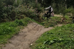 GPTempDownload-57