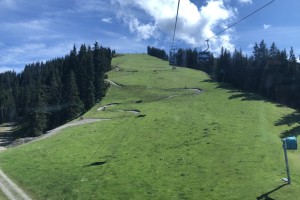 IMG_2304