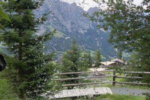 IMG_2356