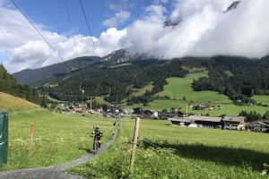 IMG_2411