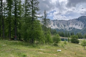 IMG_5815