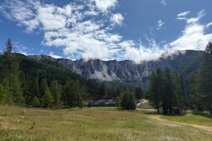 PIAY0993
