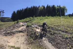 IMG_8478