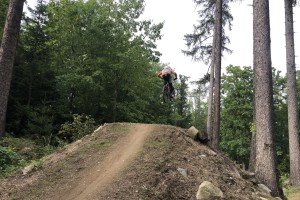 IMG_3281