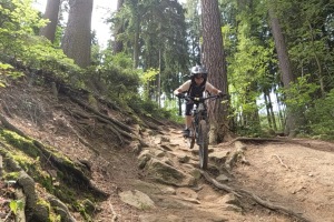 GPTempDownload-19