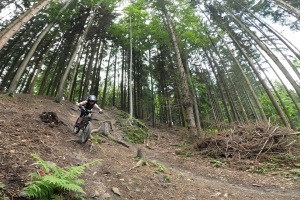 GPTempDownload-27