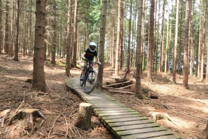 GPTempDownload-37