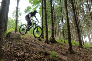 GPTempDownload-45