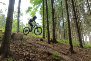 GPTempDownload-46