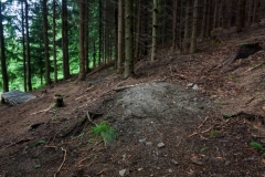 Bikepark Sviňorky