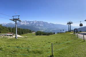 IMG_5449