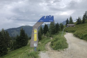 IMG_1943