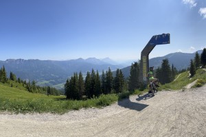 IMG_5346