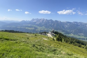 IMG_5382