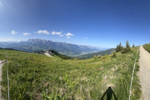 IMG_5397
