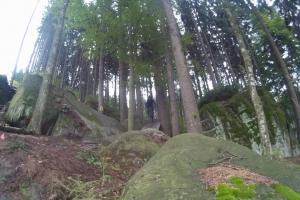 2015_1230_145748_015