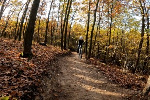 skalice-7.Movie_Snimek