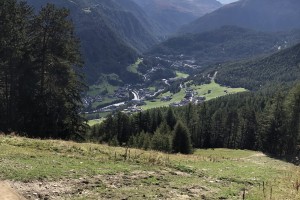 IMG_3799