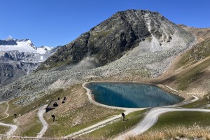 IMG_6538