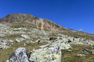 IMG_6544