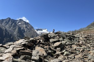 IMG_6549