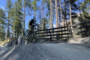 IMG_6642