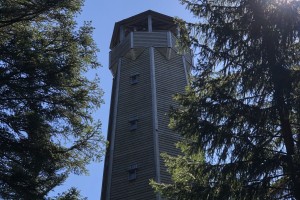 IMG_4116